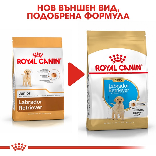 royal canin za labrador